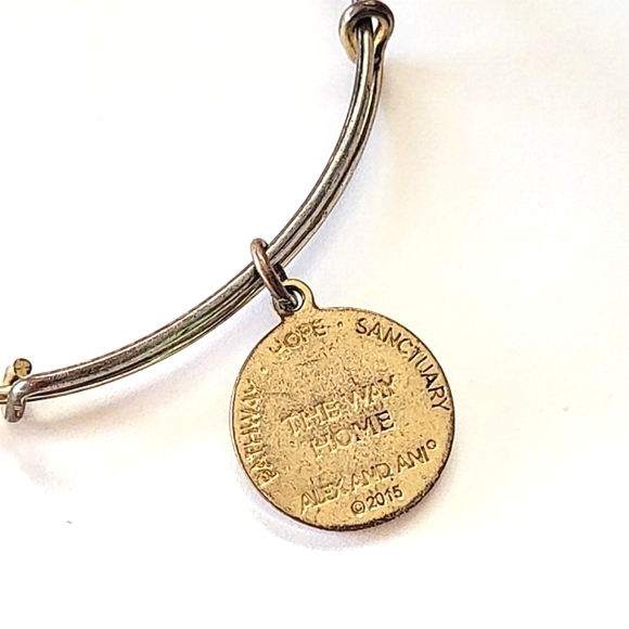 ALEX AND ANI "THE WAY HOME" CHARITY BY DESIGN BANGLE BRACELET - Picture 5 of 7